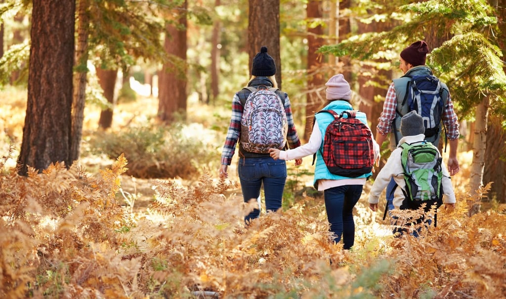 Gozdni vrtec in starši
