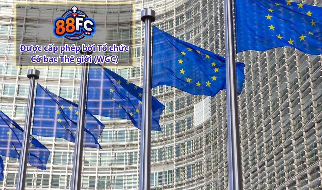 88FC – Tại Sao Được Đánh Giá Là Nhà Cái Uy Tín Nhất Hiện Nay