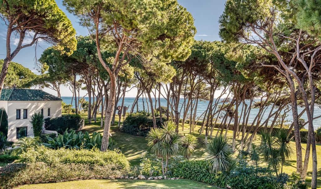 Private beachfront estate with manicured gardens and pine grove