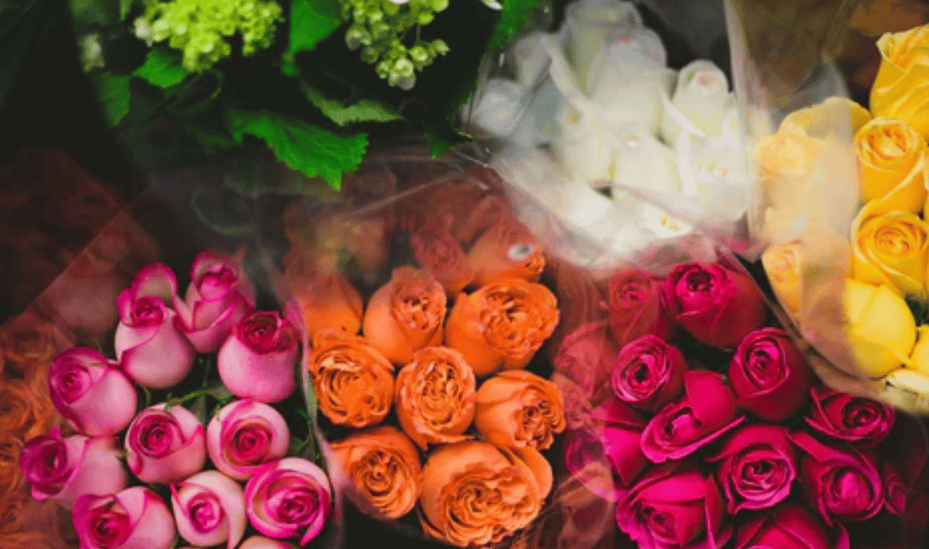 a bunch of flowers are shown in this picture