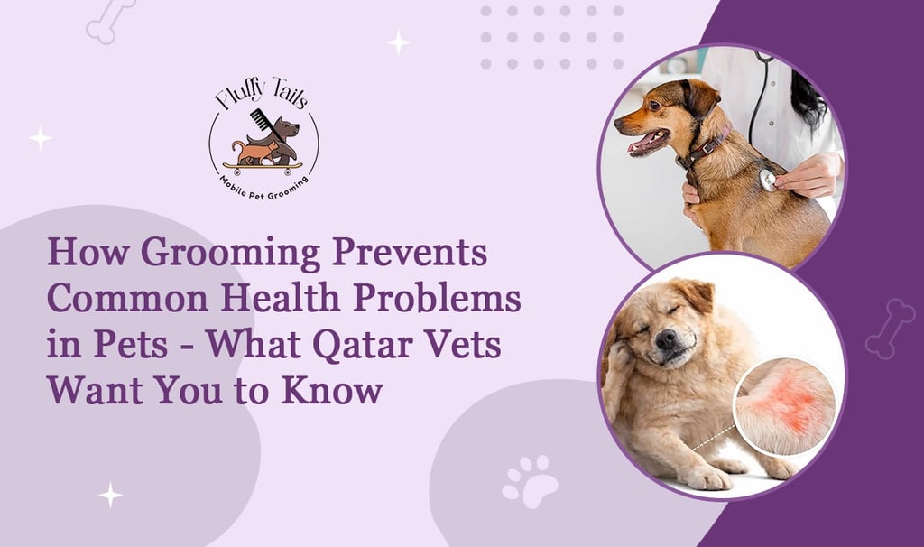 How Grooming Prevents Common Health Problems in Pets - What Qatar Vets Want You to Know