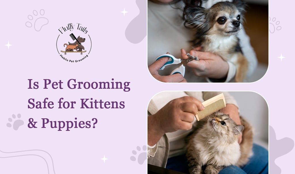 Is Pet Grooming Safe for Kittens & Puppies