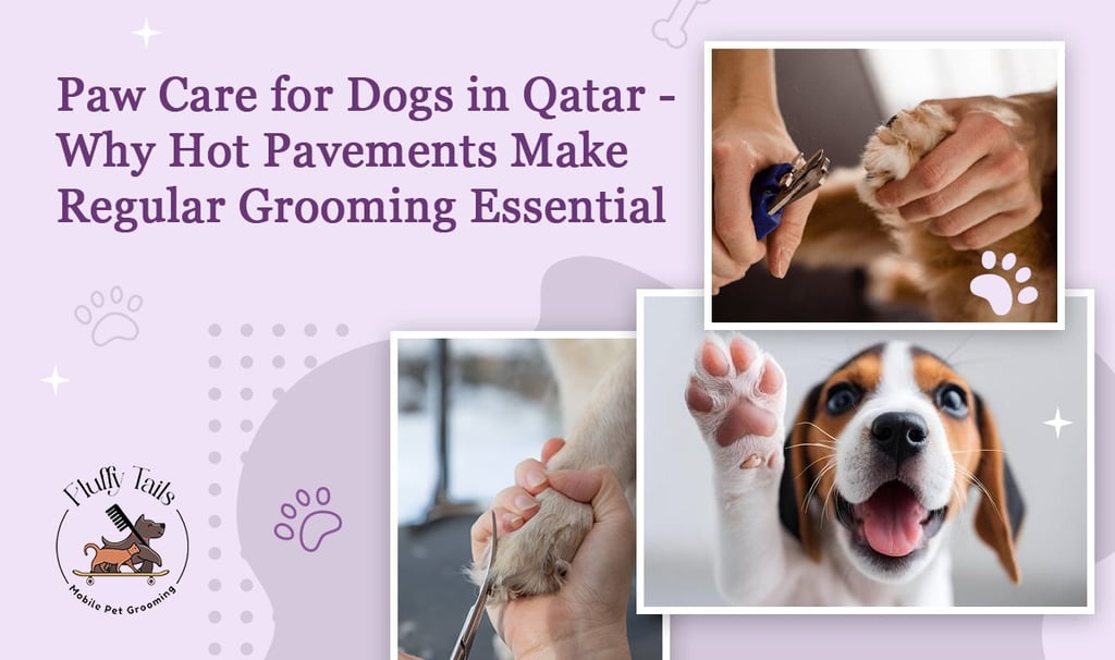 Paw Care for Dogs in Qatar: Why Hot Pavements Make Grooming Essential