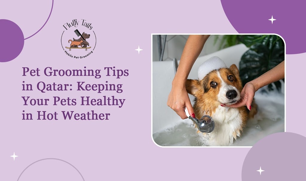 Pet Grooming Tips in Qatar Keeping Your Pets Healthy in Hot Weather