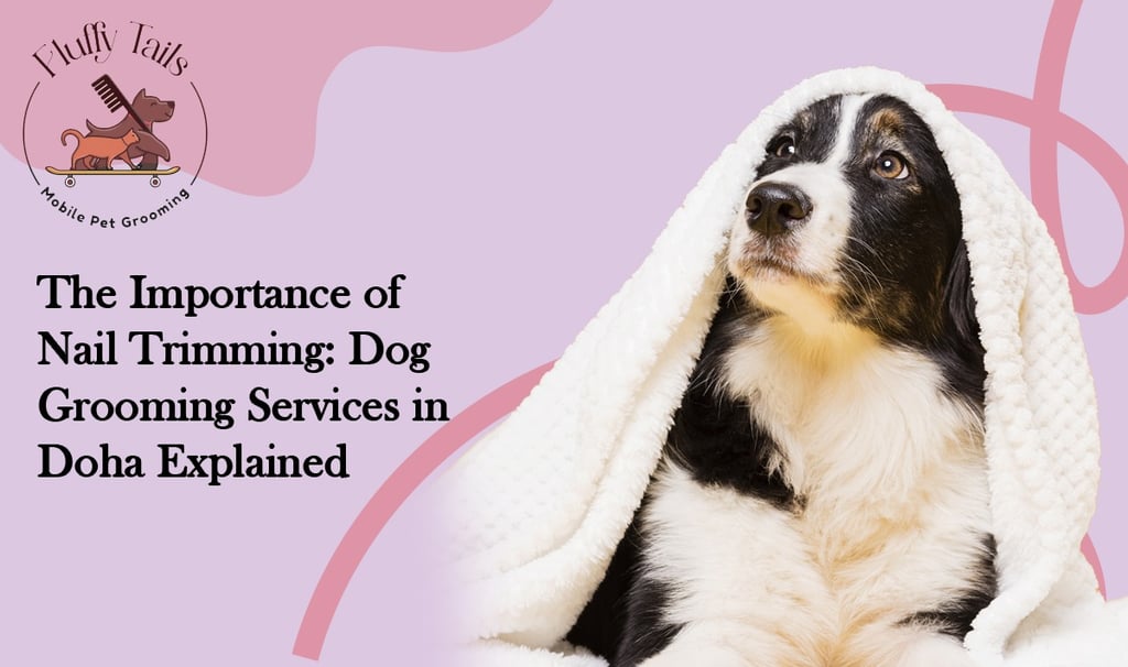 The Importance of Nail Trimming Dog Grooming Services in Doha Explained