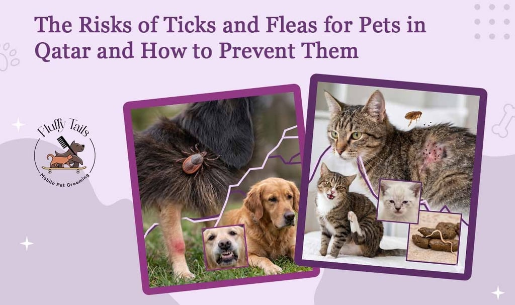 The Risks of Ticks and Fleas for Pets in Qatar and How to Prevent Them