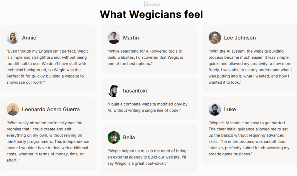 Image of What Wegic users are saying about their experience