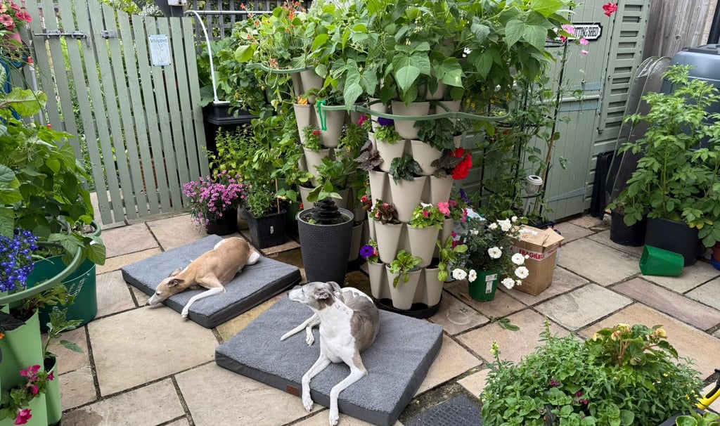 Patio Paradise – A talking point for every guest