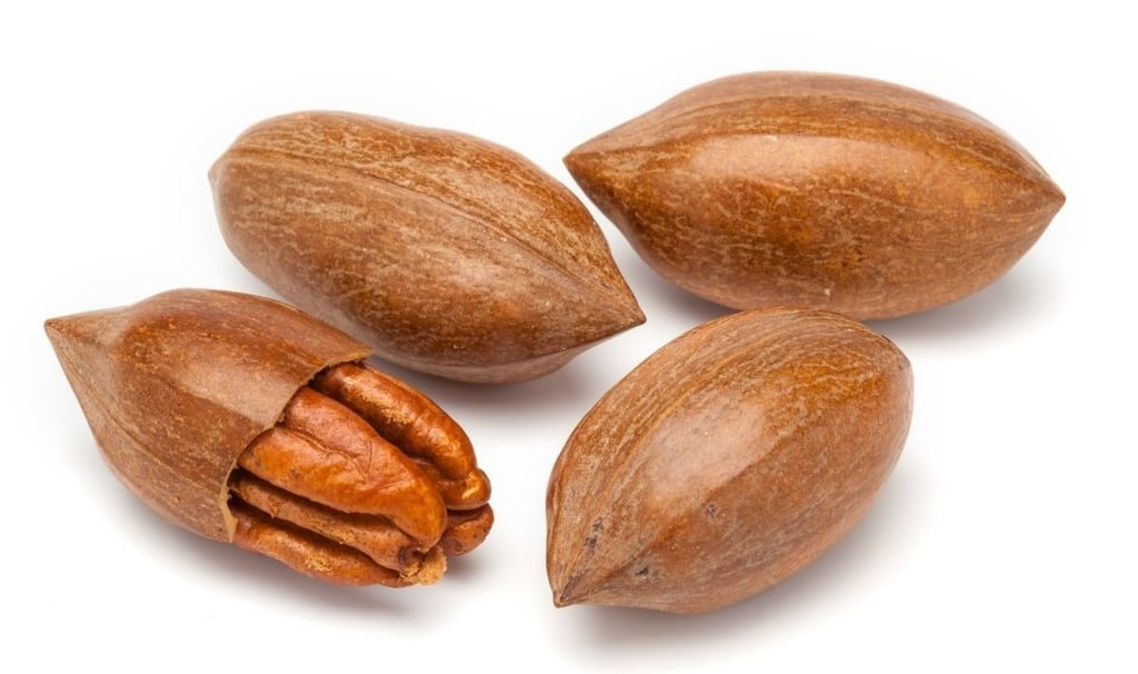 Pecans as a Nutritional Gem