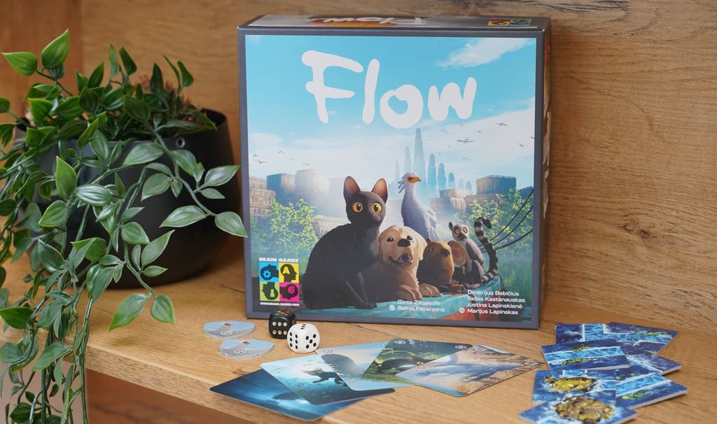 Stalo žaidimo Flow dėžutė