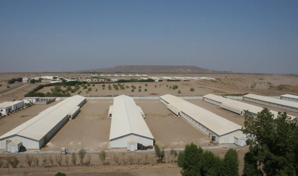 مشروع أمات السعودية