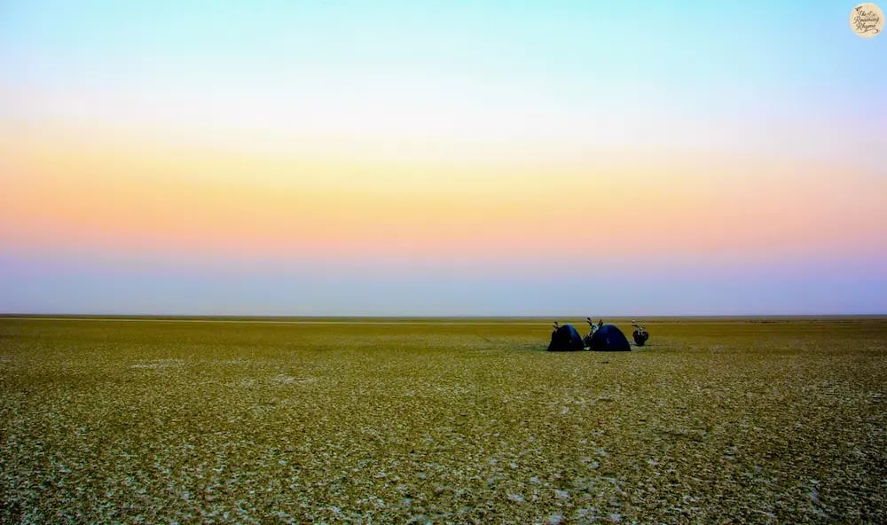 Camping on the white salt bed of Sambhar Lake at twilight.
