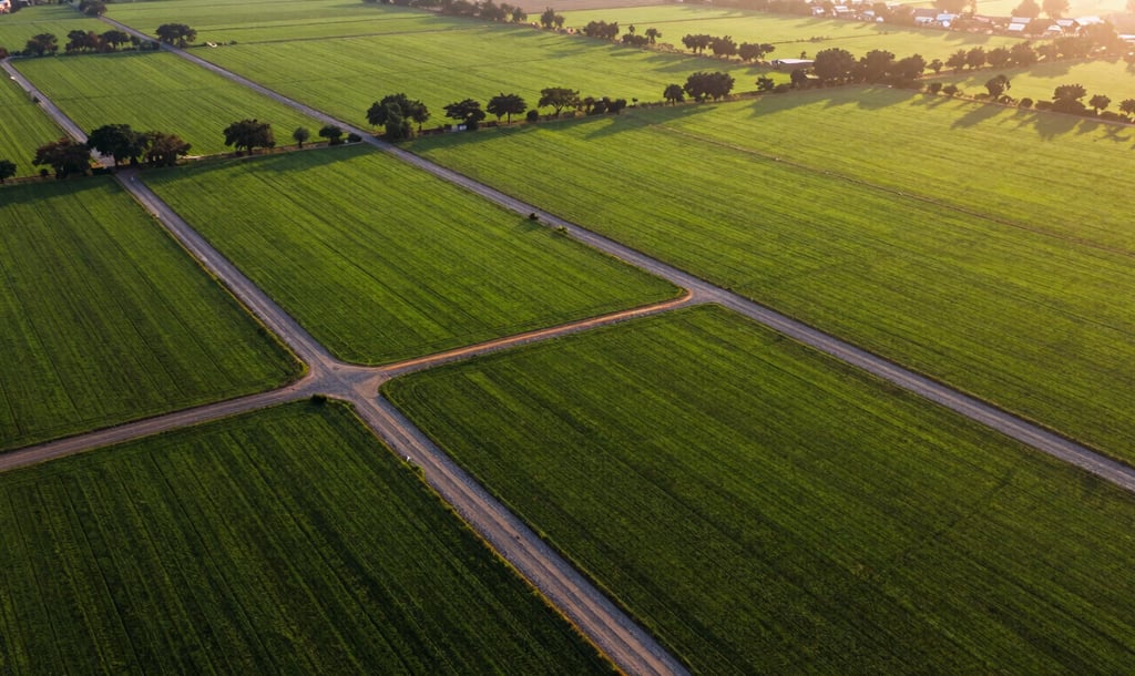High-altitude professional drone photography of lush, neatly demarcated green farmland plots in Hyderabad. Warm, low-altitude golden hour sunlight casting long shadows over internal gravel roads and precise boundary markers.