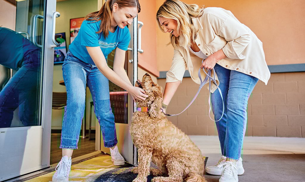 A smiling dog day care worker greets a goldendoodle and its owner at the entrance.