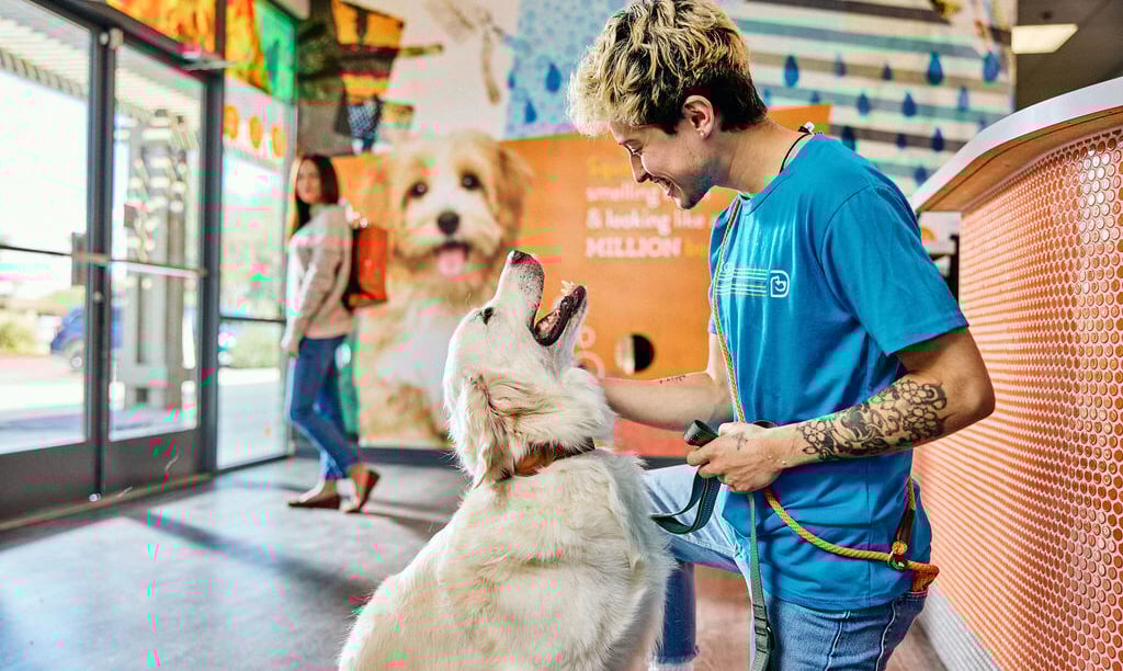 a man is petting a dog in a store