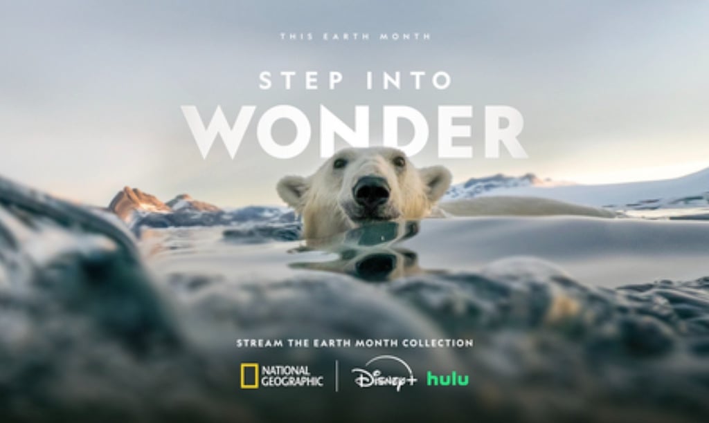 A polar bear swimming in icy arctic waters with National Geographic and Disney+ Earth Month branding.