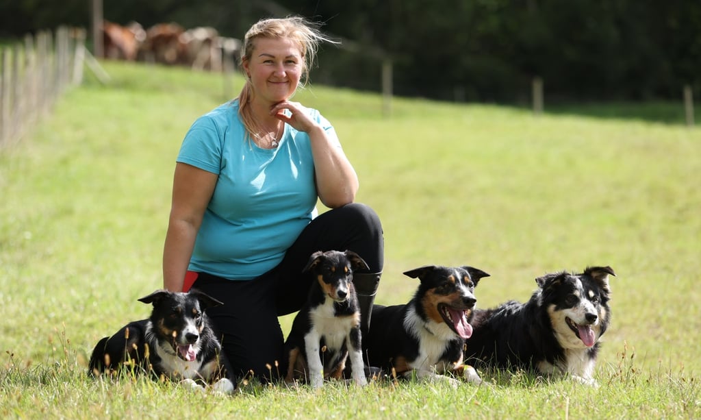 Border Collie breeder | Herding instructor | Dog training | Herding judge