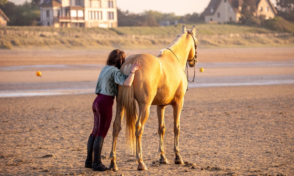 couple cavalier cheval en liberte la plage