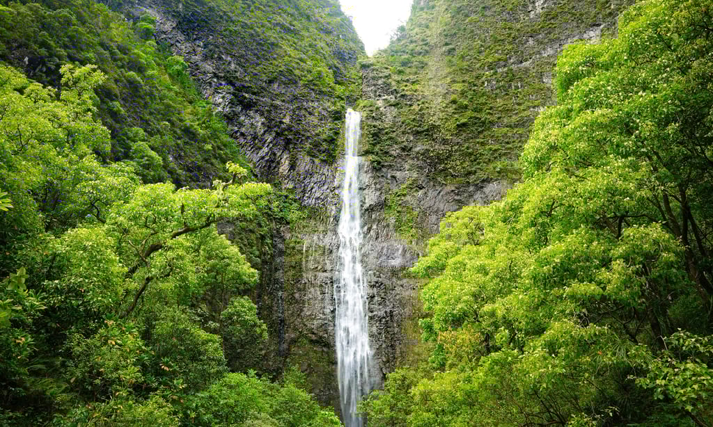 a waterfall in the middle of a lush green forest
