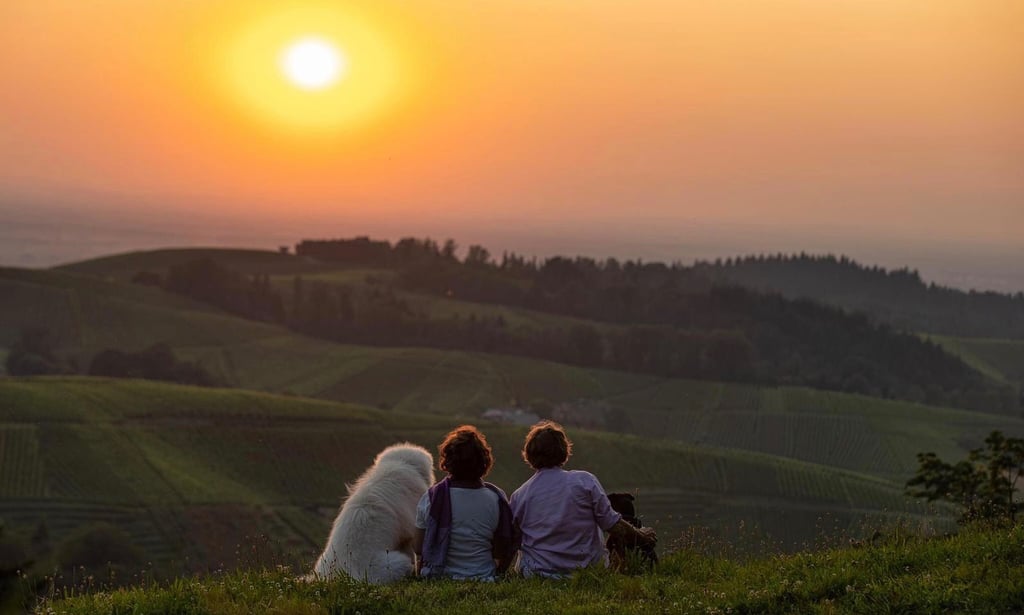 zwei Frauen mit zwei Hunden sitzend in einer Berglandschaft bei Sonnenuntergang