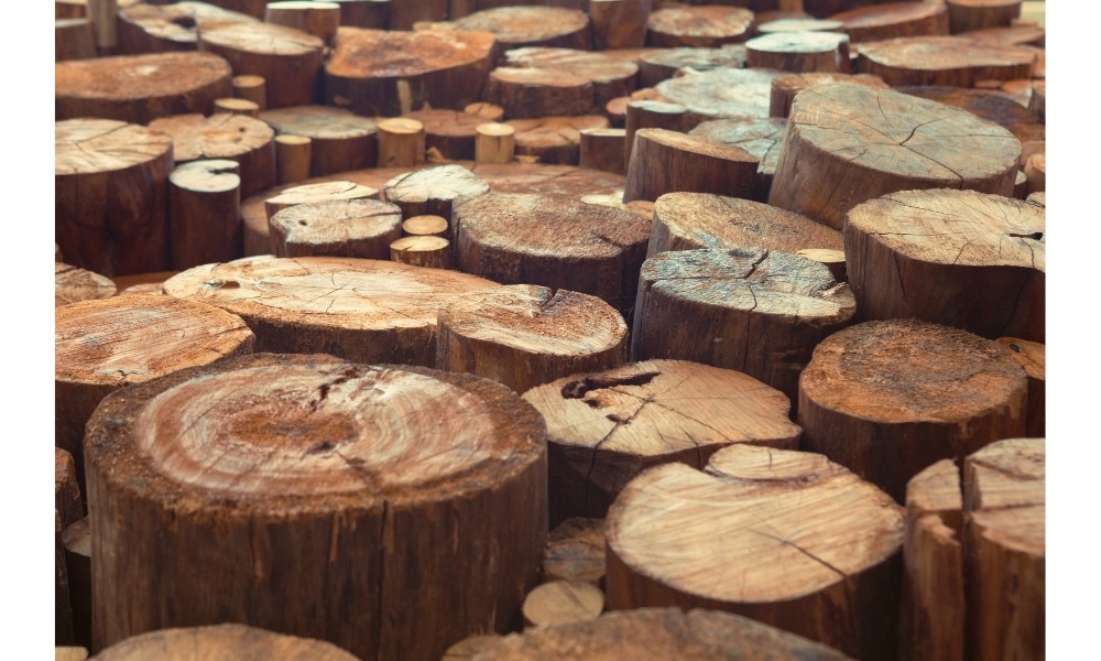 Stump grinding in praireville