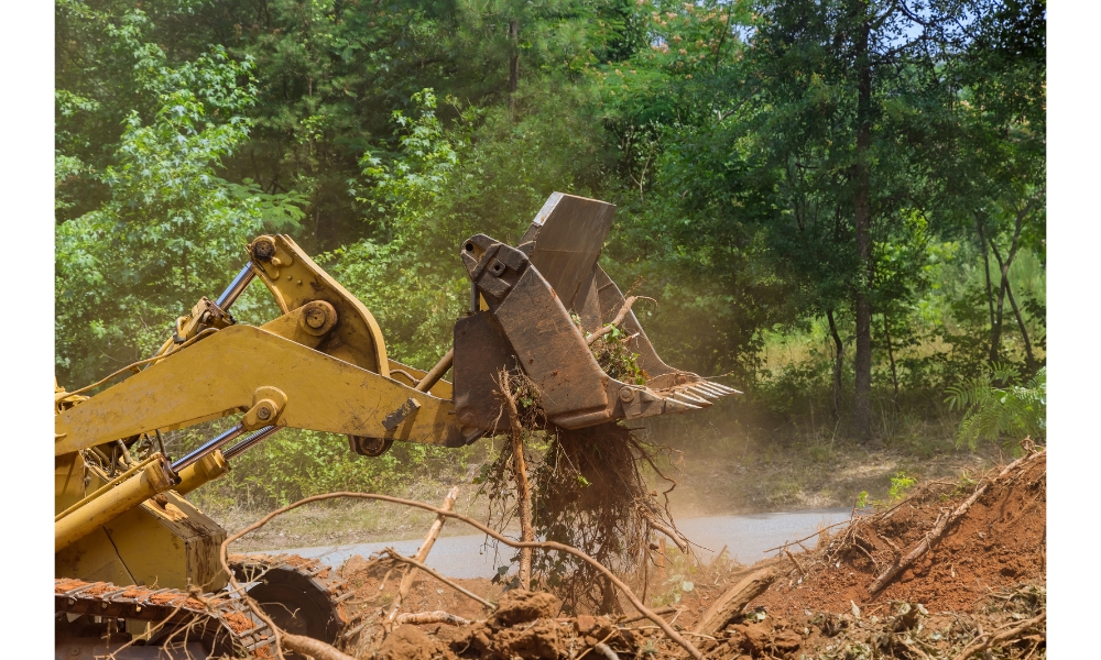 land clearing services in louisiana 