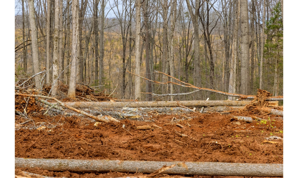 baton rouge land clearing services