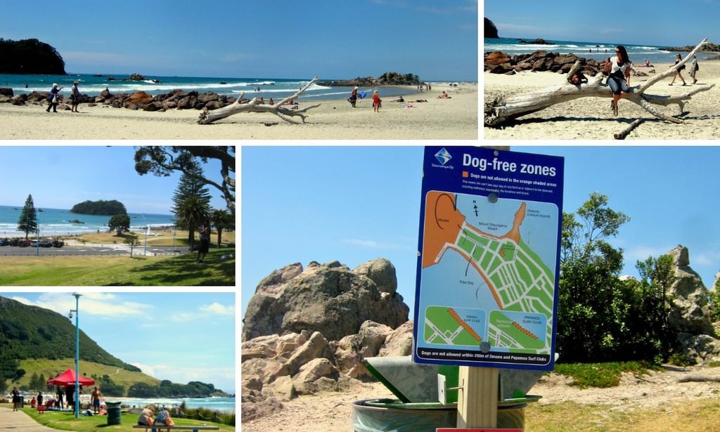 Set de fotos das praias de Tauranga, mostrando areia, mar e céu claro.