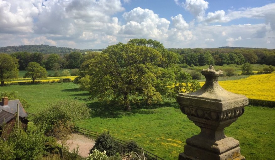 Close up of one of the four stone urns on the roof of Soulton Hall, with views across to Hawkestone