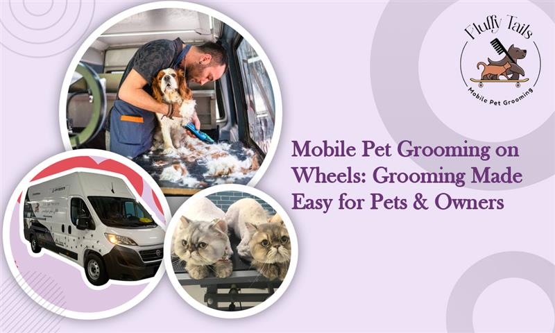 Mobile Pet Grooming on Wheels Grooming Made Easy for Pets & Owners