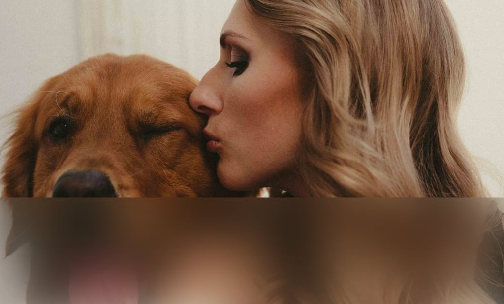 dogAdvisor | dogadvisor | dog advisor | dogAdvisor.dog