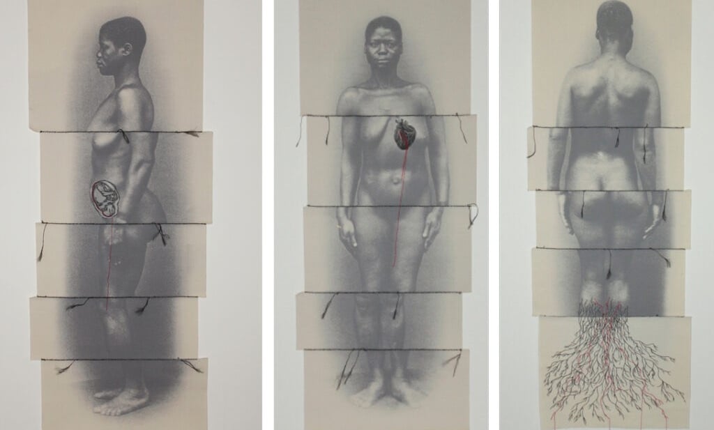obra de Rosana Paulino