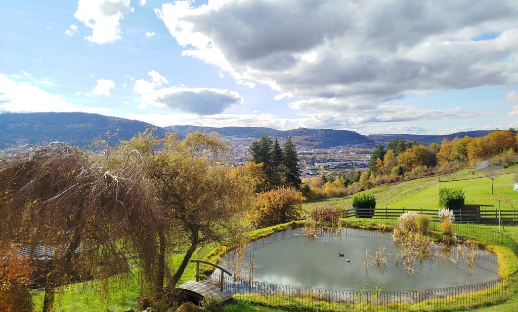 Vue sur l'étang et la vallée de Remiremont depuis chambre 6
