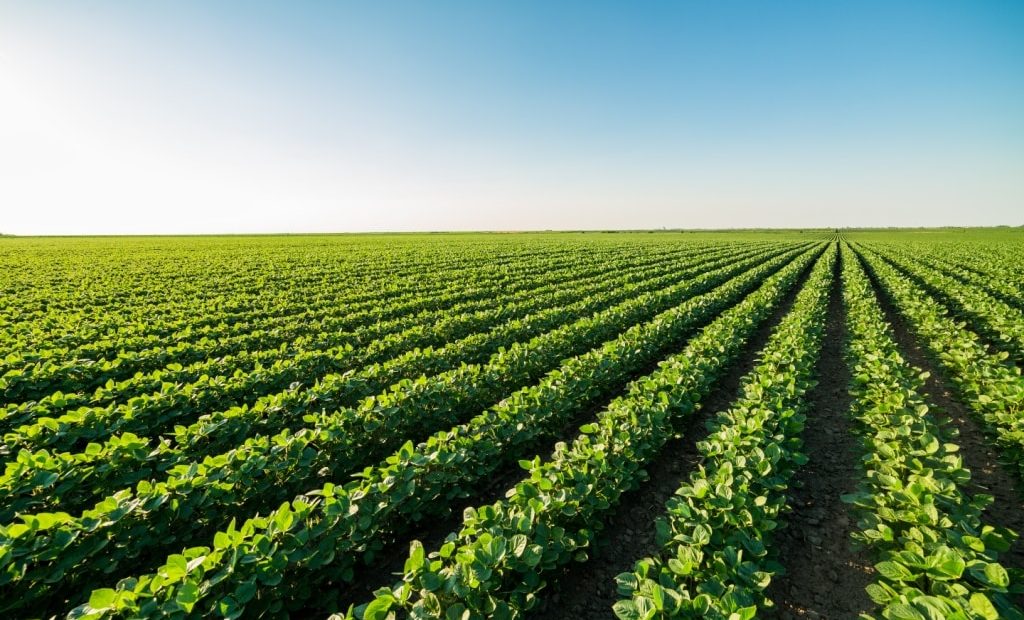 Licenciamento ambiental para fazenda-de-soja