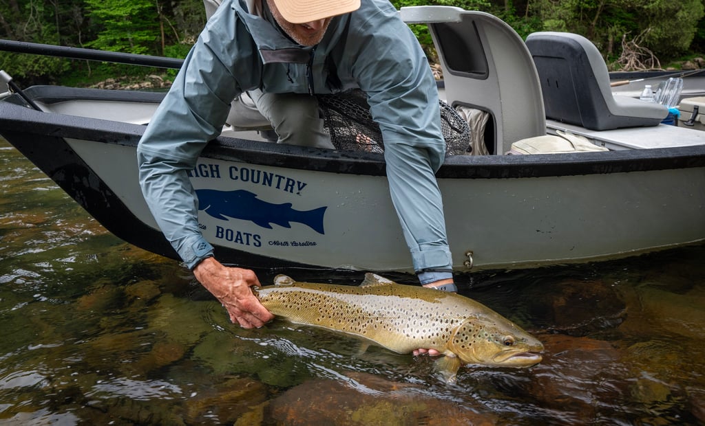 David releases his new personal best- 28.5