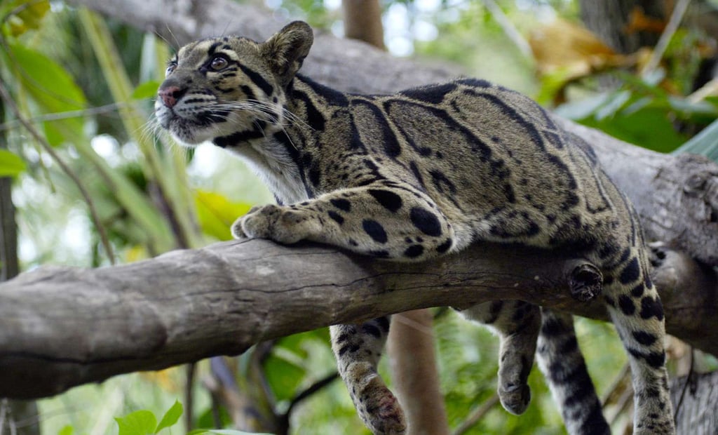 Bukit lawang tour packages from 3 to 6 days