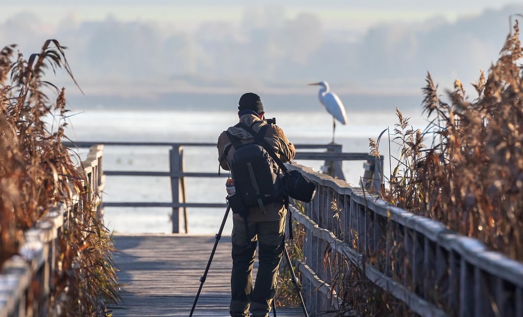 Focus and Foresight: Business Lessons Photography Teaches About Patience and Vision