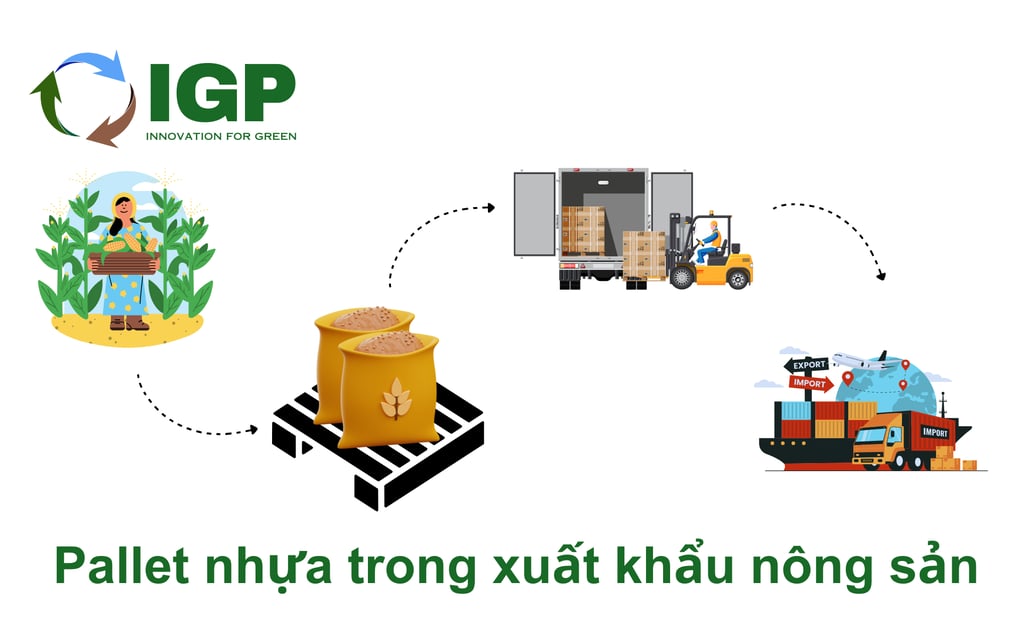 Pallet nhựa trong xuất khẩu nông sản