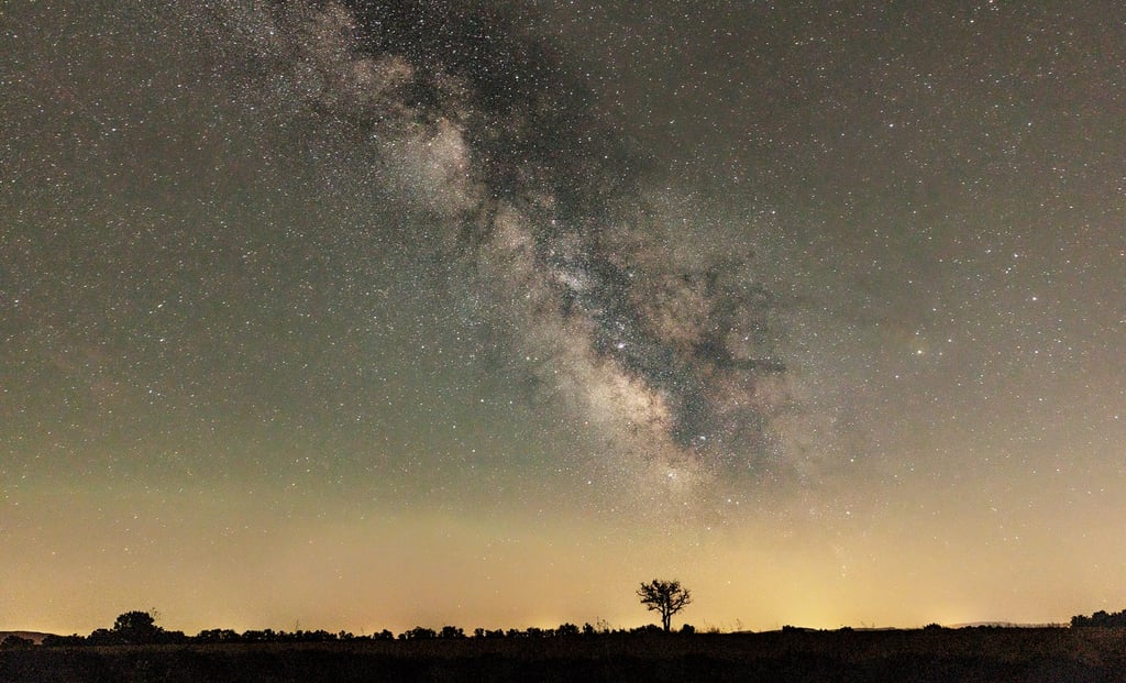 Breathtaking night sky landscape featuring the Milky Way galaxy over a silhouetted tree and horizon.