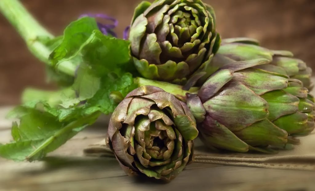 Artichaut. Tout savoir sur l'artichaut, du semis à la dégustation. Les bienfaits nutritionnels.