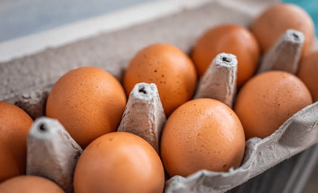 Salmonella Scare: 1.7 Million Eggs Recalled as Outbreak Hits Seven States