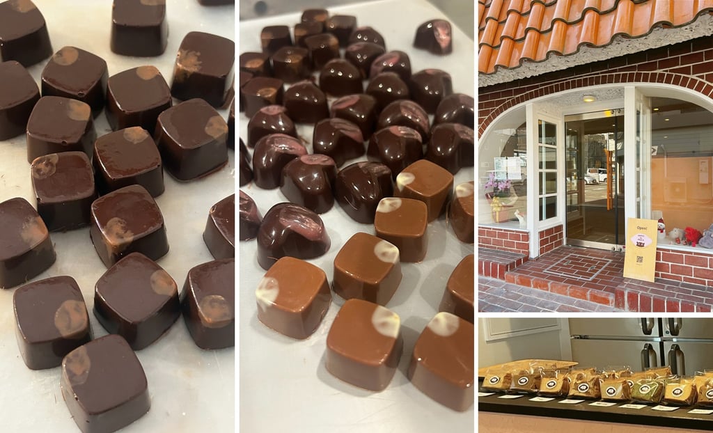 チョコレートと米粉シフォンケーキの店「HIPPO to MOCA」（ヒッポトモカ）のチョコレートとお店外観とシフォンケーキ｜堺市のニュースならサカイタイムズ