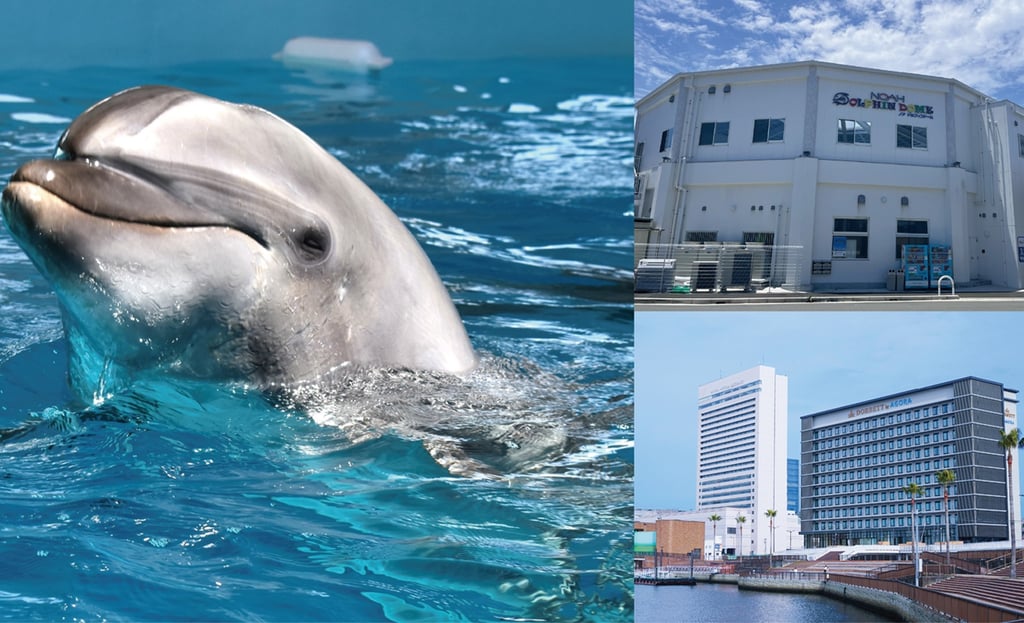 「ノア ドルフィンドーム」のイルカ画像と建物外観と連携宿泊プランを予約開始したドーセット バイ アゴーラ 大阪堺の外観写真｜堺市のニュースならサカイタイムズ