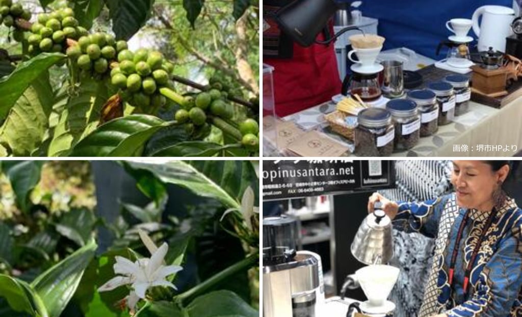 インドネシア産コーヒー豆の実と花、ドリップコーヒーの抽出風景、インドネシア出身講師がコーヒーを淹れる様子を写した関連画像｜堺市のイベント情報ならサカイタイムズ