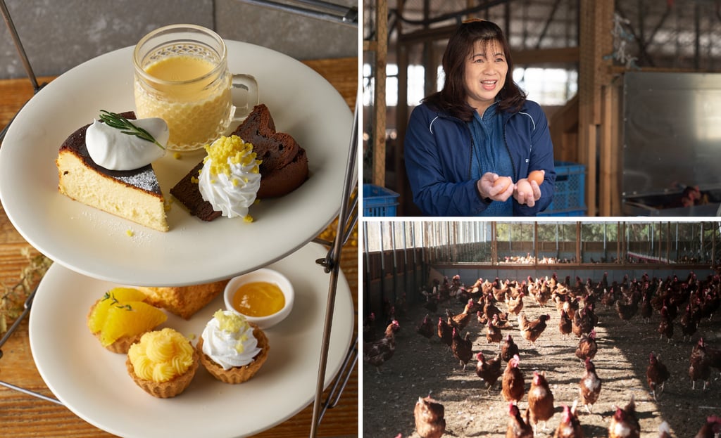 ミモザをイメージした柑橘スイーツの盛り合わせと、平地平飼い卵を手にする農業者の藤井美佐さん（卵娘庵）、日光が差し込む鶏舎内で放し飼いにされる鶏の様子｜堺市のニュースならサカイタイムズ