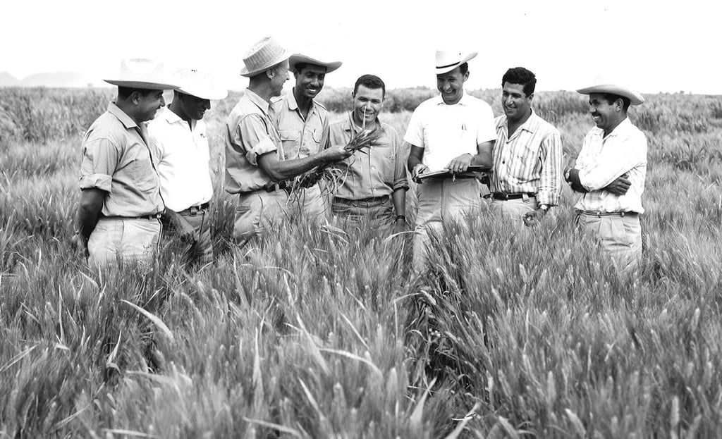 Norman Bourlaug The Father of the Green Revolution training young scientists at the International Ma