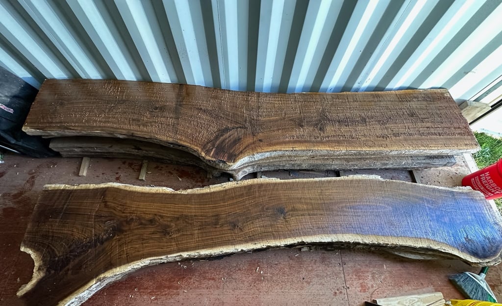 black walnut slabs for counter tops or other building projects