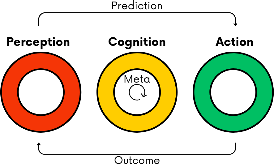 a diagram of the perception-cognition-action-outcome feedback loop