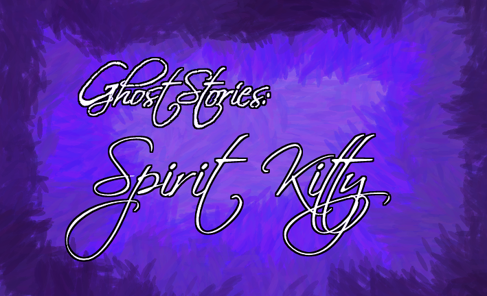 Ghost Stories: Cat Sighting/Spirit Kitty story
