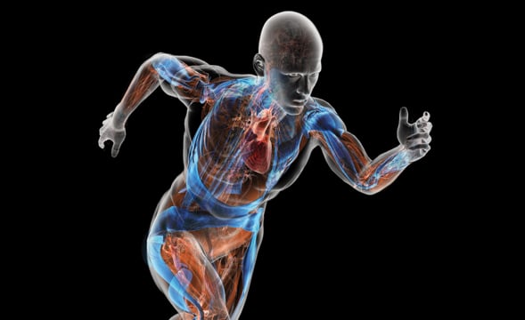 Blog sport et médecine , Dr Cédric Yves Bandelier, médecin généraliste la Tour-de-Peilz -Vevey